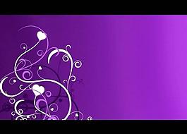 紫色花紋背景視頻素材圖片