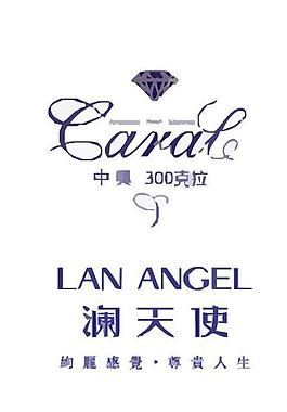 服裝logo圖片