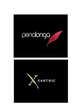 羽毛logo圖片