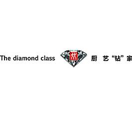 雙立人鉆石logo圖片