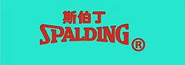 斯伯丁logo圖片
