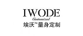 埃沃定制logo圖片