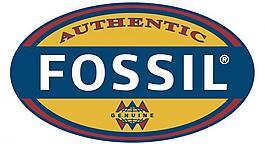 fossil 矢量logo圖片