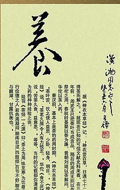 養(yǎng)生圖片