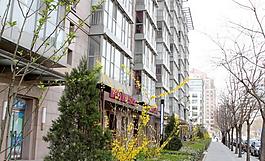 春天的街道圖片