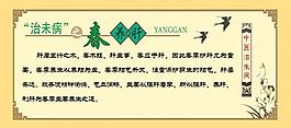 中醫養生圖片