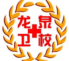 龍泉衛(wèi)校logo圖片
