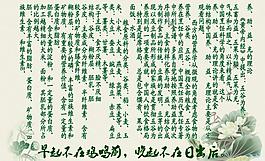 中醫(yī)養(yǎng)生圖片