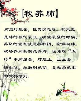 中醫(yī)養(yǎng)生圖片
