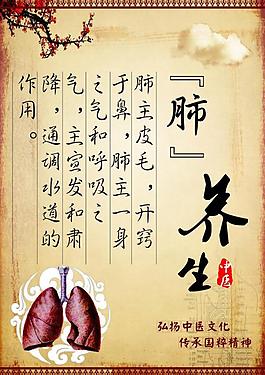 肺部養(yǎng)生圖片
