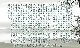 中醫(yī)養(yǎng)生圖片