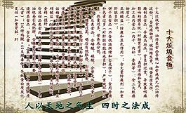中醫(yī)養(yǎng)生圖片