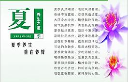 夏季养生图片