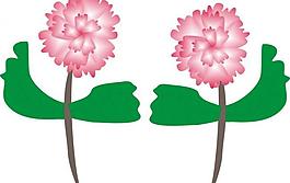 花朵图片