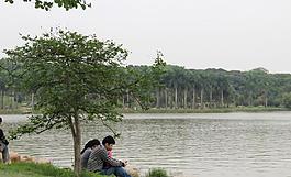 公園湖邊情侶圖片