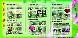 養生要用花圖片