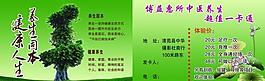 養(yǎng)生單頁圖片