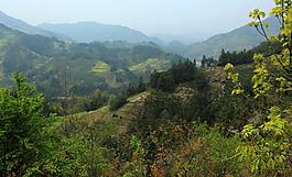 石潭村圖片