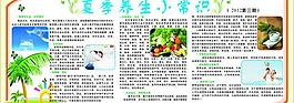 夏季养生小常识图片