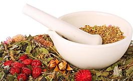 養(yǎng)生花草藥圖片