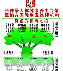 張仲景人體健康養(yǎng)生圖片