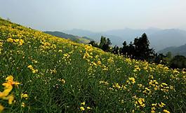 石潭村圖片