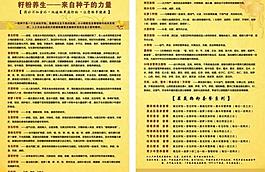 籽粉養(yǎng)生圖片
