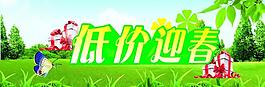 低價(jià)迎春圖片