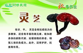 秋季养生展板图片