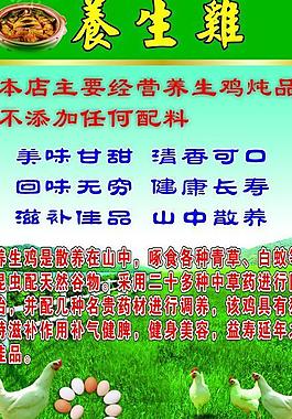 養生雞海報圖片