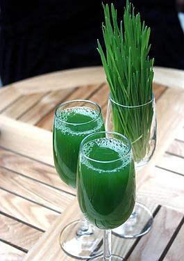 養生小麥草汁圖片