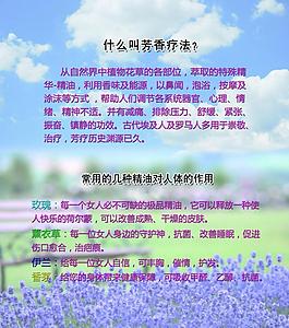 養(yǎng)生專題海報圖片