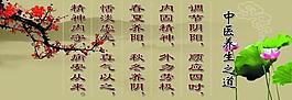中醫(yī)養(yǎng)生之道圖片