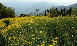 石潭村圖片