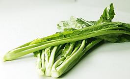 春菜圖片