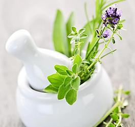 花卉圖片