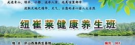 安利養(yǎng)生票圖片
