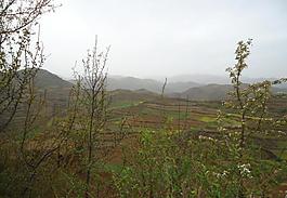 乡村图片