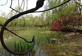 公園圖片