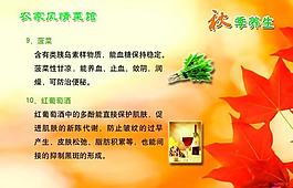 秋季養(yǎng)生展板圖片