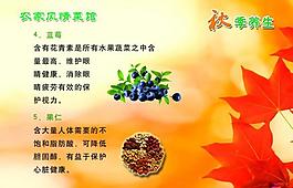 秋季養(yǎng)生展板圖片