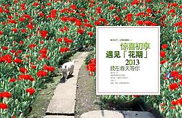 驚喜初享 遇見花期圖片