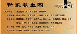 腎系養(yǎng)生圖片