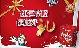 枸杞養(yǎng)生奶禮品裝圖片