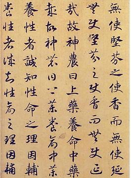 趙構(gòu) 嵇康養(yǎng)生論圖片