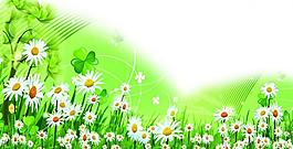 春意盎然花朵綻放圖片