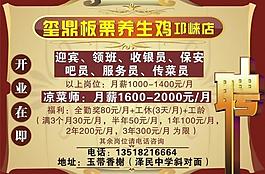 板栗養生雞圖片