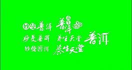 普洱圖片