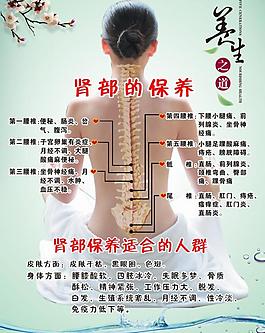 腎部穴位圖圖片
