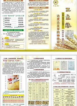 三主糧 折頁宣傳單圖片
